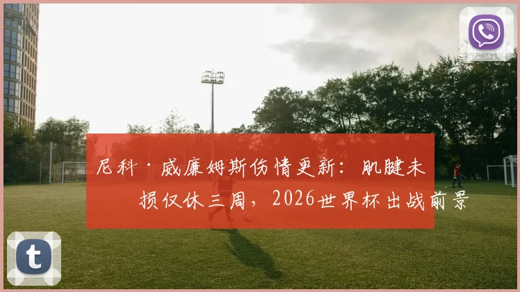 尼科·威廉姆斯伤情更新:肌腱未受损仅休三周,2026世界杯出战前景分析及球员康复时间线解读